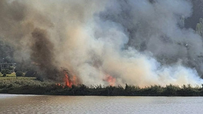 İzmir'de sazlık alanda yangın 