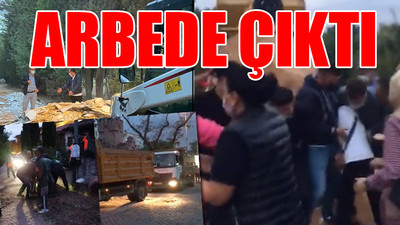 Mahkeme kararına rağmen AKP'li belediye Validebağ Korusu'na sabaha karşı girdi