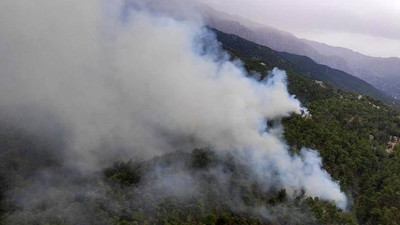 Manavgat’ta orman yangını