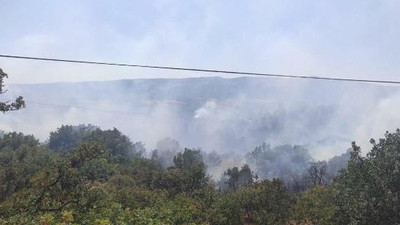 Manisa'da ormanlık alanda yangın
