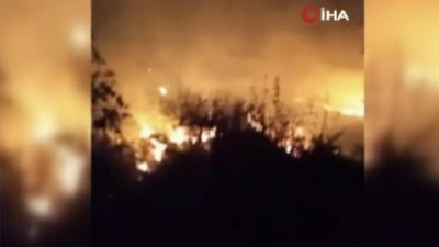 Tekirdağ'da otluk ve ağaçlık yangını