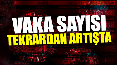 Türkiye'nin son koronavirüs tablosu açıklandı