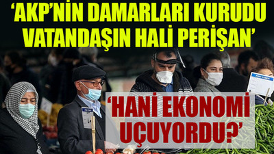 Türkiye'yi bölge bölge gezdi, izlenimlerini aktardı...