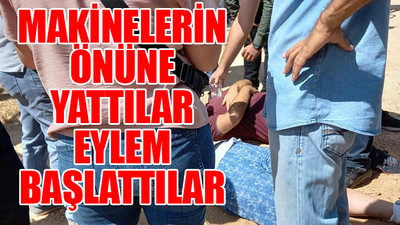 Validebağ Korusu'nda AKP'li belediye 'hukuk' tanımadı