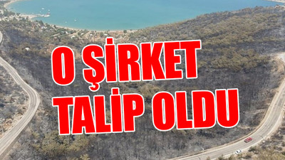Yanan ormanlar hakkında dikkat çeken iddia