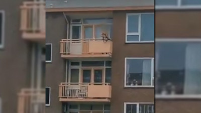 Yoldan geçenlere ok atan kişi yakalandı: Evinde 2 ceset bulundu 