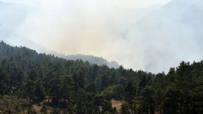 Antalya'da orman yangını çıktı