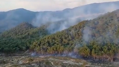 Balıkesir'in Edremit ilçesinde orman yangını
