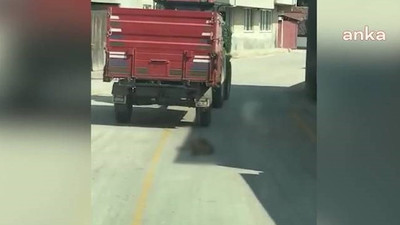 Köpeği traktörün römorkuna bağlayarak sürükledi