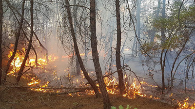 Kütahya'da orman yangını