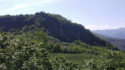 Mahkemeden Ordu'daki taş ocağı hakkında iptal kararı