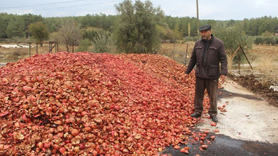 Muğlalı çiftçi isyan etti: Biz nasıl ayakta kalacağız?