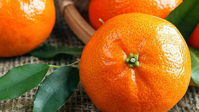 Rusya, 'Akdeniz meyve sineği' nedeniyle mandalinaları Türkiye'ye iade etti