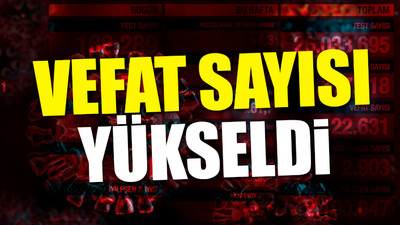 Türkiye'nin son koronavirüs tablosu açıklandı 