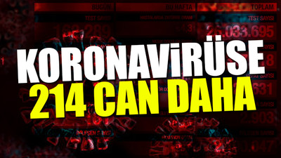 Türkiye'nin son koronavirüs tablosu...