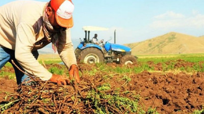 71 yaşındaki çiftçinin isyanı: Borçluyum, anam dinim ağlıyor