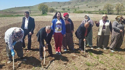 CHP'li Ramis Topal: Kuru soğan üreticisi zarar ediyor