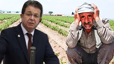 AKP'li vekilden çiftçilere: Ayranın yok içmeye tahtırevanla gidersin ekin biçmeye
