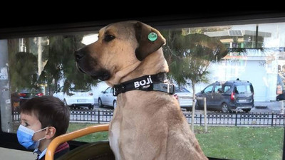 Boji'nin hesabından 'özür' mesajı