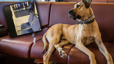 Boji’ye atılan iftiranın arkasından hangi AKP’li belediye başkanı çıktı