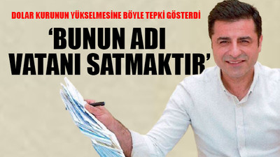 Demirtaş: En acil şey ülkeyi satanlara derslerini sandıkta vermek