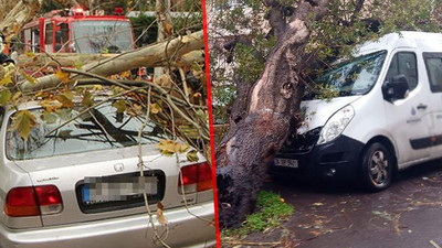 İBB: İstanbul’da 327 çatı uçtu, 1517 ağaç devrildi