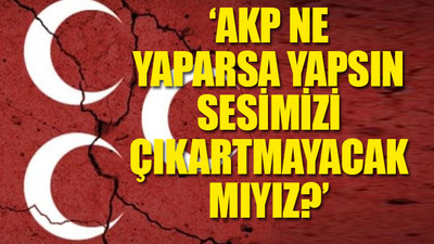 MHP'de; AKP isyanı ve istifaları başladı