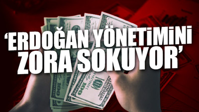 Türk Lirası'nın değer kaybı dünya basınında