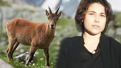 Av ihalesine açılan dava için çağrı: Daha fazla vakit kaybetme lüksümüz yok