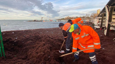 Caddebostan kırmızı yosunlara teslim! Yürüyüş yolunu da kapladı