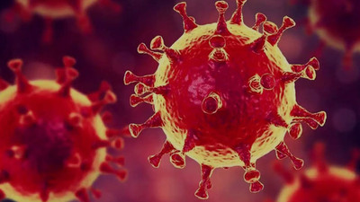 Korkutan varyant bir ülkeye daha sıçradı