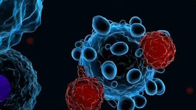 Omicron varyantıyla ilgili umut veren araştırma