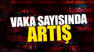 Türkiye'nin güncel koronavirüs tablosu 