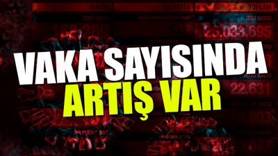 Türkiye'nin son koronavirüs tablosu açıklandı 