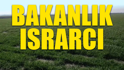 Verimli tarım arazilerinin alanına plastik tesisi! Mahkeme iki kez durdurmuştu ama...