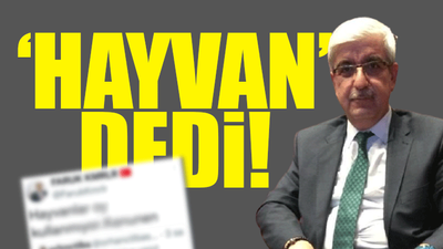 AKP'li isimden emekli zammını eleştiren yurttaşa hakaret