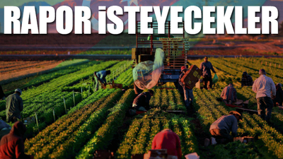 Azerbaycan'dan Türkiye'ye ihracat şartı