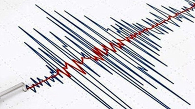 Bingöl'de gece yarısı korkutan deprem