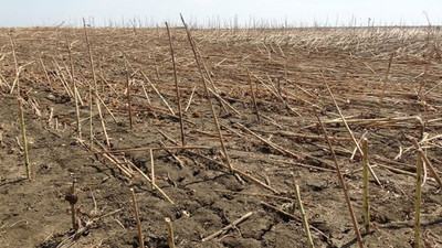 Borçlu çiftçiler isyanda: Ankara'da seslerini duyuracaklar