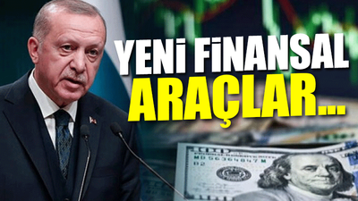 Erdoğan'ın dolara karşı enflasyon planı