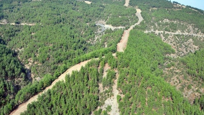 İki ilde orman arazileriyle ilgili kritik karar Resmi Gazete'de yayımlandı