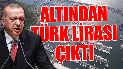 Koç Holding'in iptal edilen ihalesi BAE'ye mi verilecek?