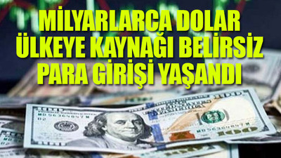 Merkez Bankası verilerinde kritik detay