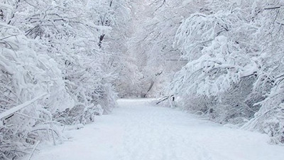 Meteoroloji'den 19 kente sarı kodlu uyarı!