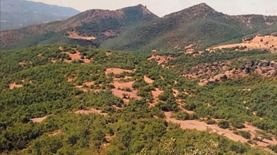 Tunceli'de katı atık tesisi yapımı için 55 bin ağacın kesilmesi planlandı
