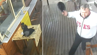 Beslediği karga anahtarını çaldı