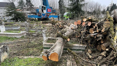 Mezarlıkta ağaç katliamı: Ne ölüsüne ne dirisine saygı kalmadı