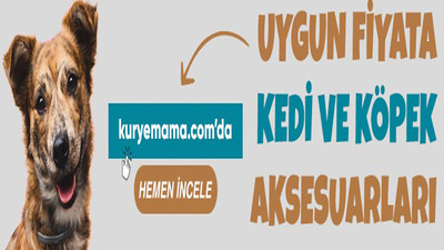 Petshop kedi köpek tırmalama ağızlıkları cazip fiyatlar burada kurye mama