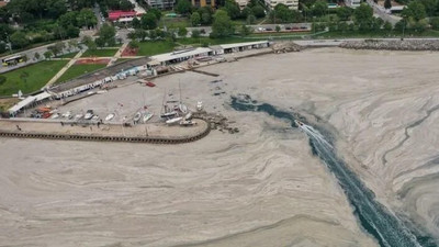 Saray’dan İBB’ye müsilaj suçlaması