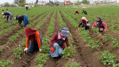 TÜİK tarımsal girdi enflasyonunu açıkladı: Yeni rekor